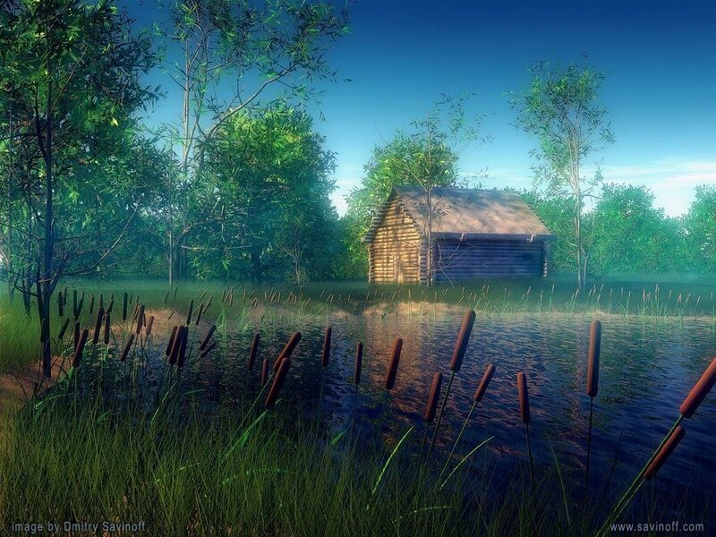 Log Cabin in Marsh