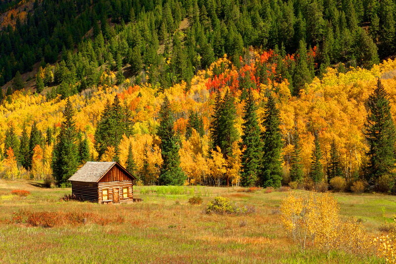 Log Cabin in Meadow — Green, Serene