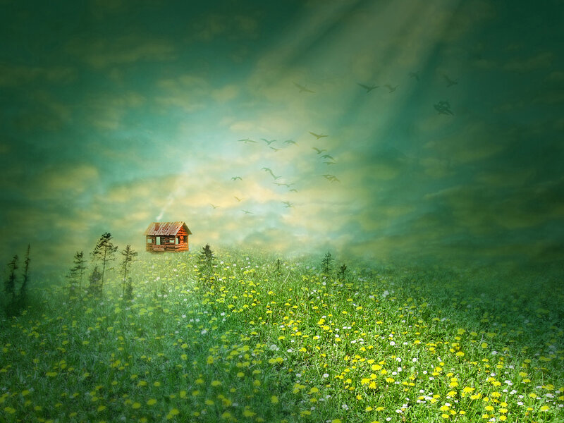 Log Cabin in Meadow