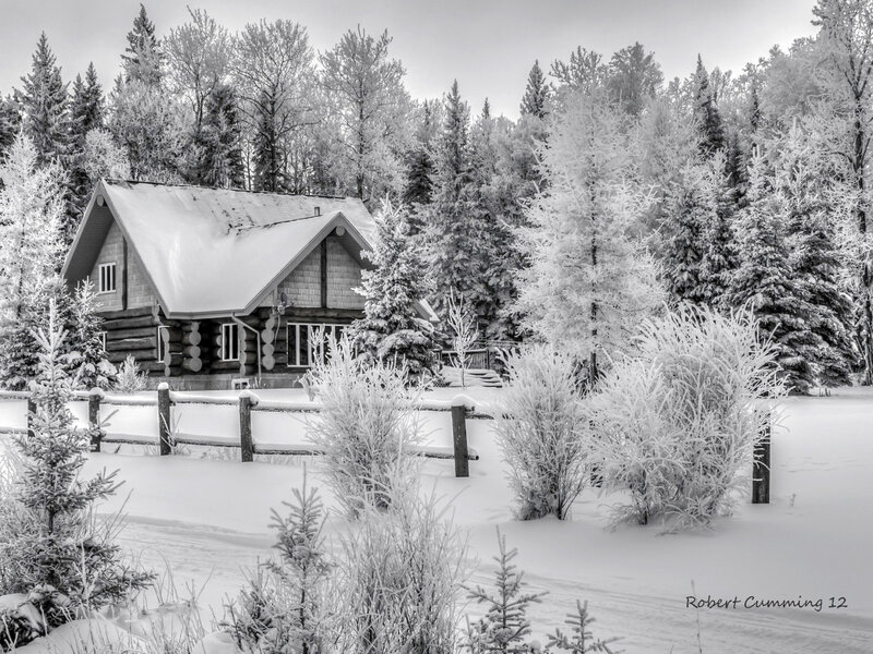 Log Cabin in Snow — Black, Serene