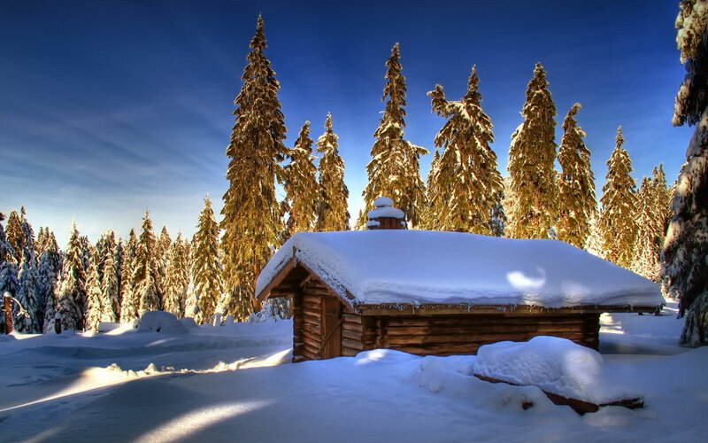 Log Cabin in Snow — Blue, Serene, Winter, Photograph, Trees, Chimney, White