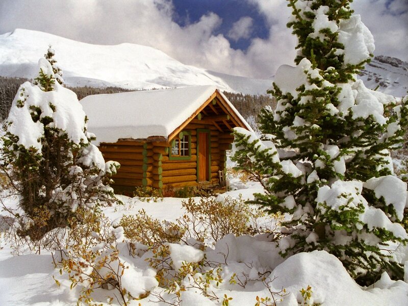Log Cabin in Snow — Snow-covered Trees