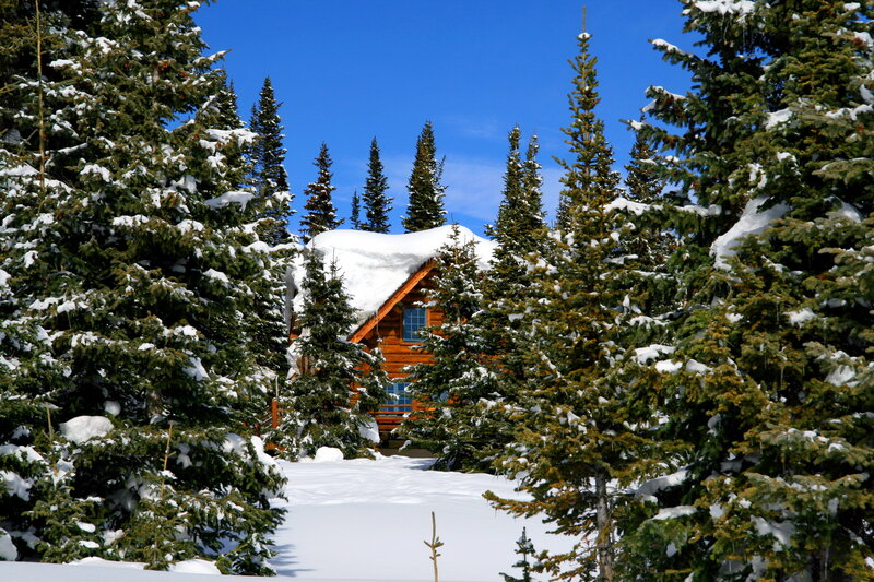 Log Cabin in Snow — White, Serene, Winter, Photograph, Evergreen Trees