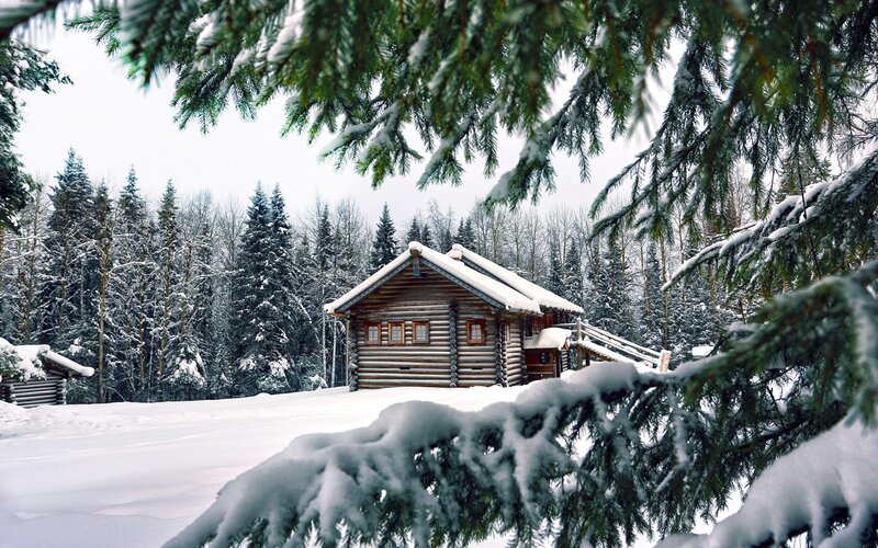 Log Cabin in Snow — White, Serene, Winter, Photograph, Pine Trees, Forest