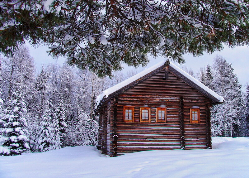 Log Cabin in Snow — White, Serene, Winter, Photograph, Pine Trees