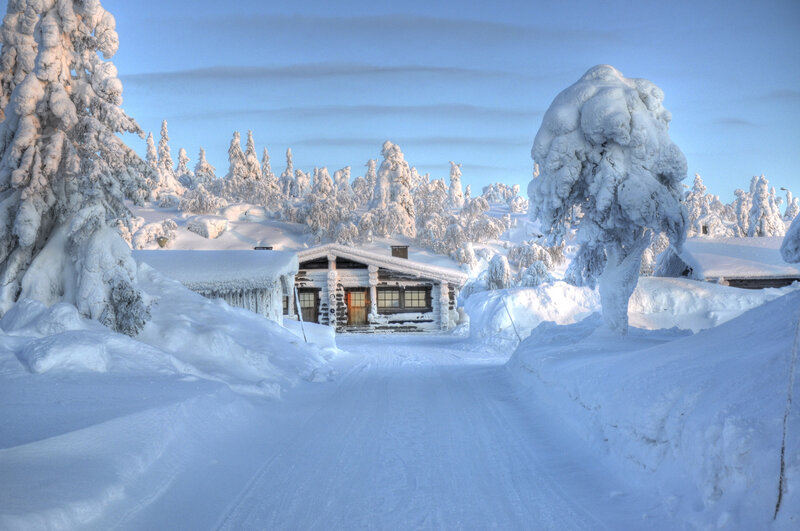 Log Cabin in Snow — White, Serene, Winter, Photograph, Snow-covered Trees, Road