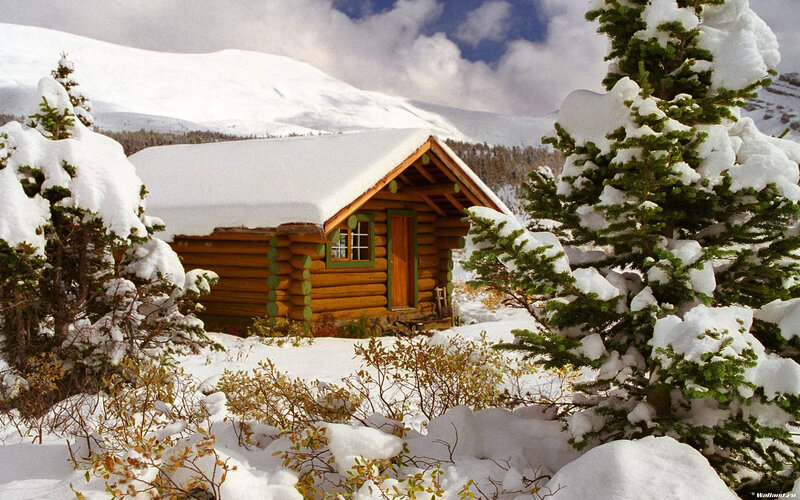 Log Cabin in Snow — White, Serene, Winter, Photograph, Snow-covered Trees