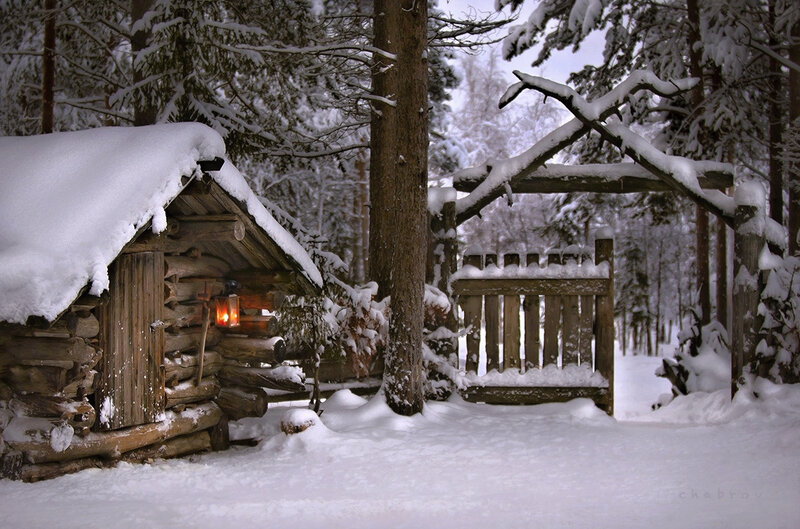 Log Cabin in Snow — White, Serene, Winter, Photograph, Trees, Gate