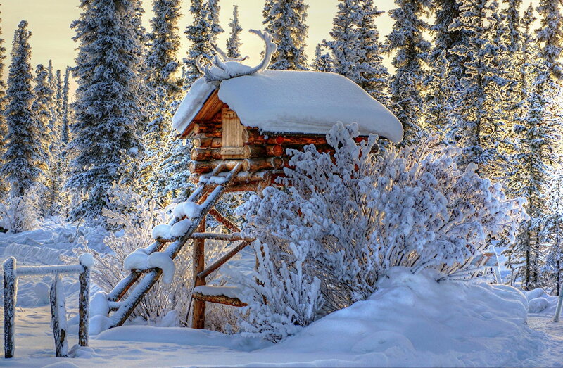 Log Cabin in Snow — White, Serene, Winter, Photograph, Trees, Ladder