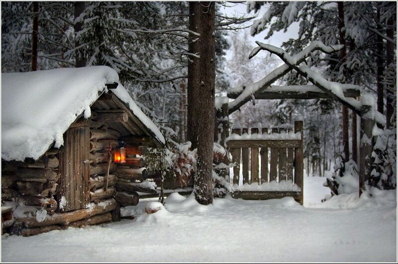 Log Cabin in Snow — White, Serene, Winter, Photograph, Trees, Lantern