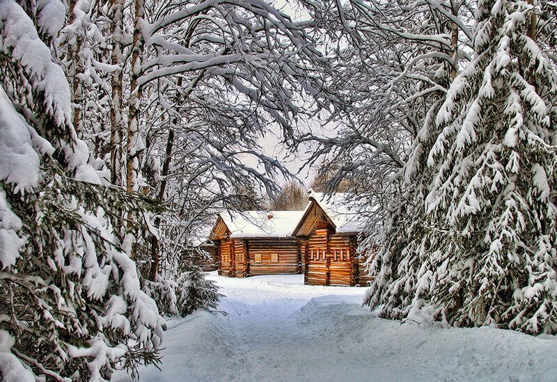 Log Cabin in Snow — White, Serene, Winter, Photograph, Trees, Path