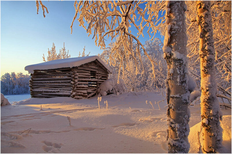 Log Cabin in Snow — White, Serene, Winter, Photograph, Trees, Sunrise