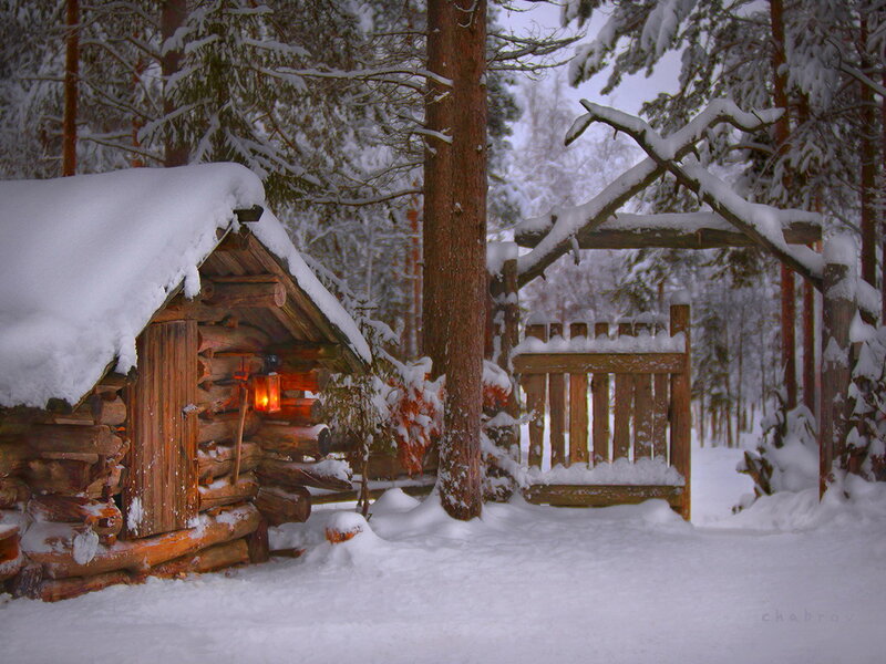 Log Cabin in Snow — White, Serene, Winter, Photograph, Trees