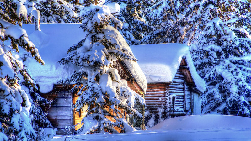 Log Cabin in Snow — White, Serene, Winter, Photograph, Trees, Windows
