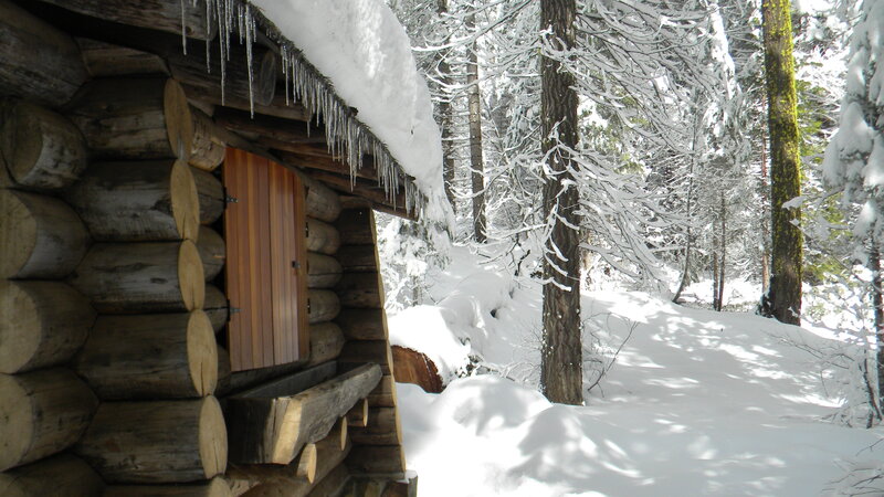 log cabin in snowy forest