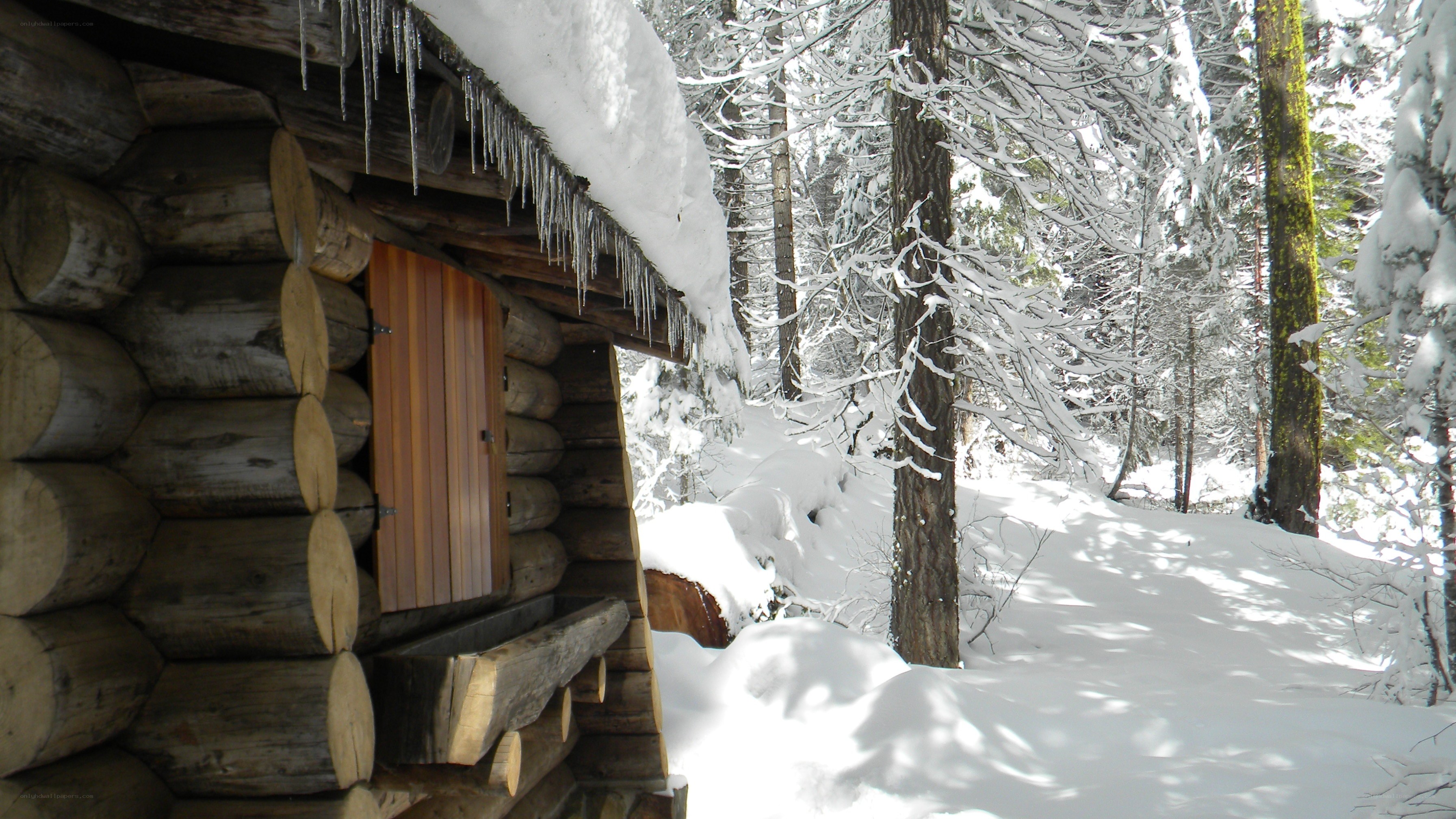 log cabin in snowy forest