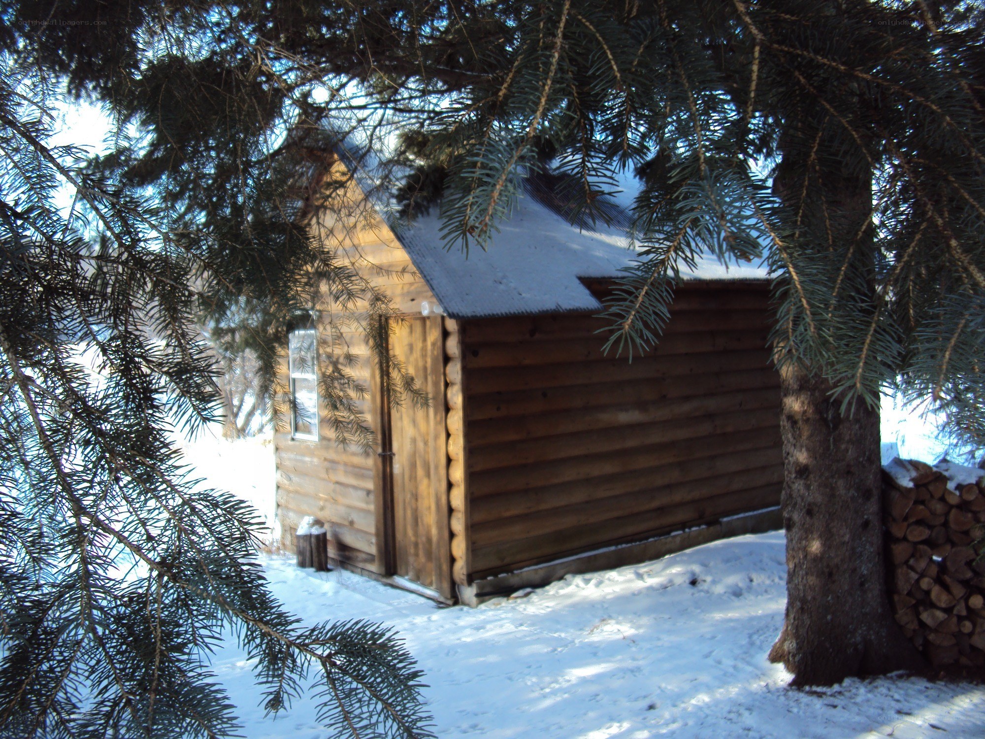 Log cabin in snowy forest