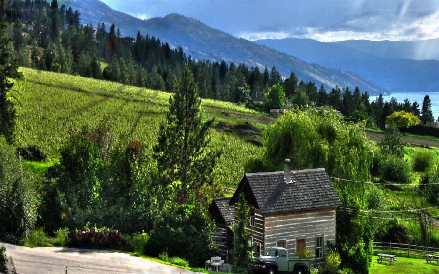 Log cabin in vineyard landscape