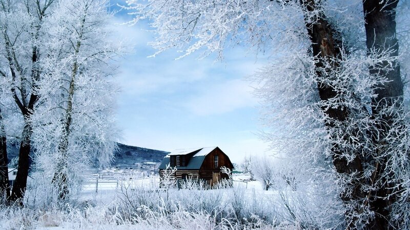 Log Cabin in Winter — White, Serene, Photograph, Trees, Snow, Mountain, Blue, Brown