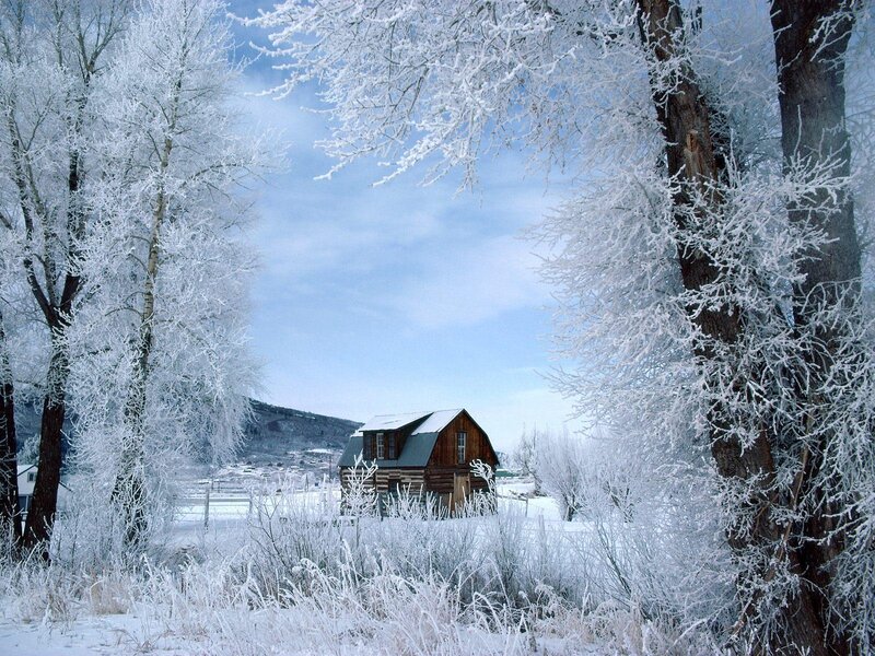 Log Cabin in Winter — White, Serene, Photograph, Trees, Snow, Mountain, Brown, Blue