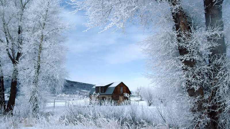Log Cabin in Winter — White, Serene, Photograph, Trees, Snow