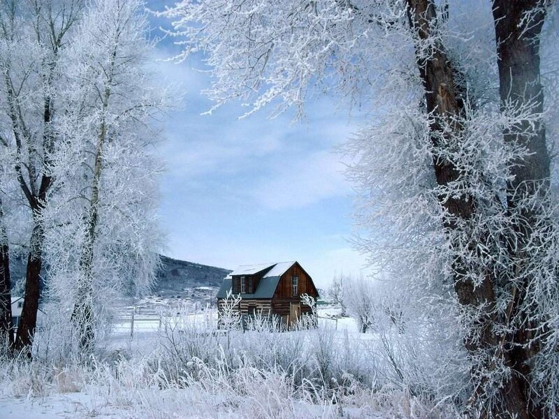 Log Cabin in Winter — White, Serene, Photograph, Trees