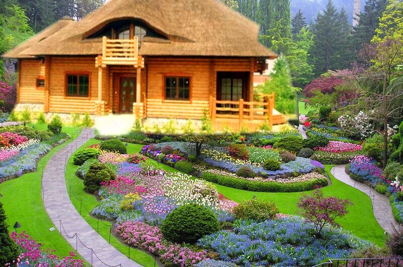 Log Cabin with Garden