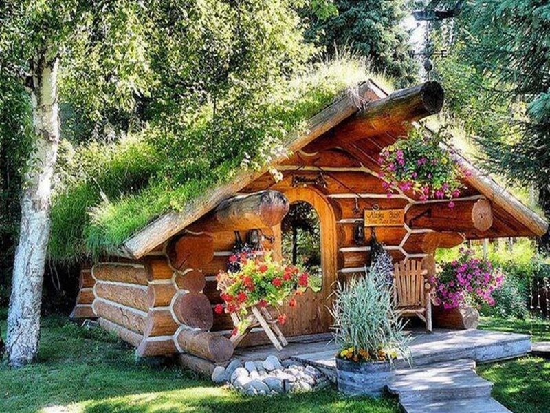 Log Cabin with Green Roof — Serene