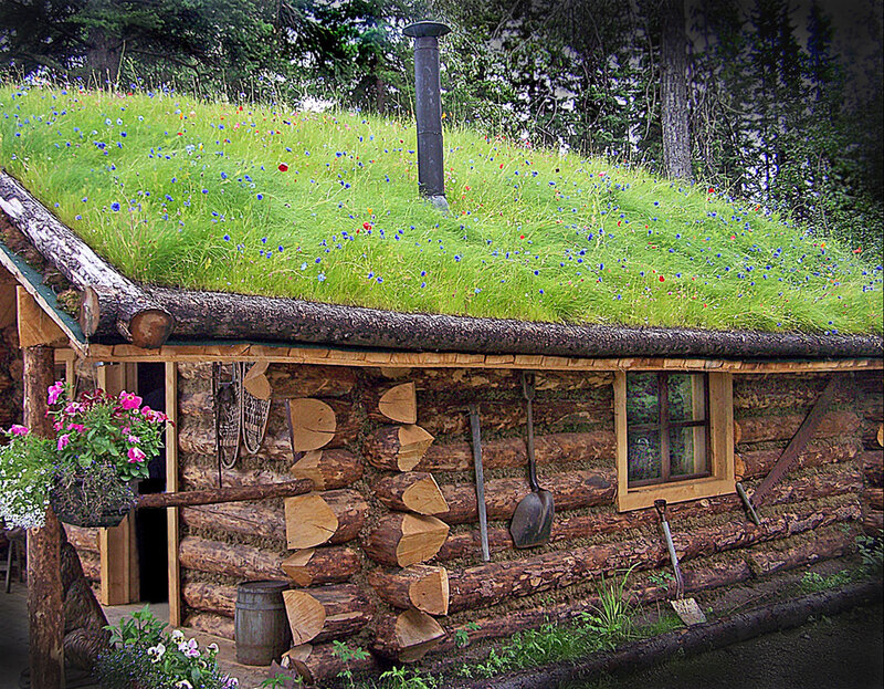 log cabin with green roof