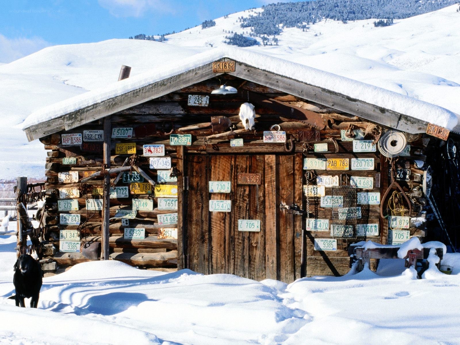 Log cabin with license plates