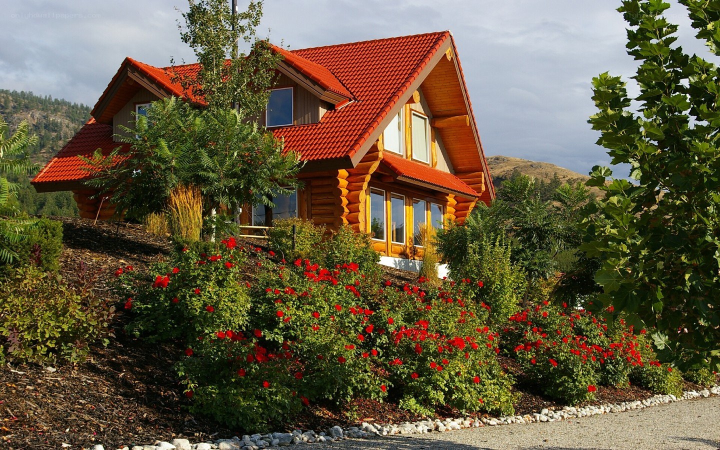Log cabin with red roof