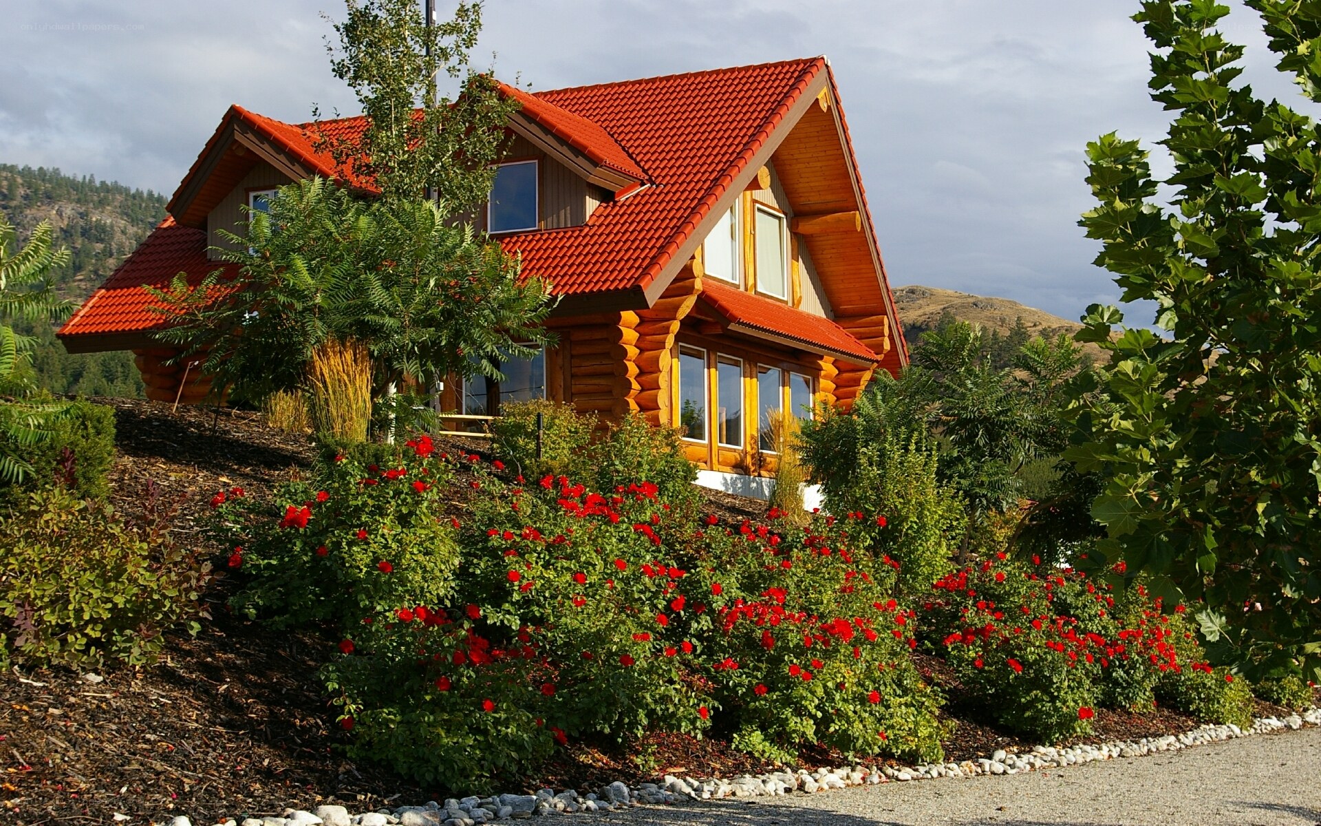 Log cabin with red roof