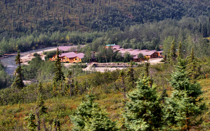Log Cabins in Forest