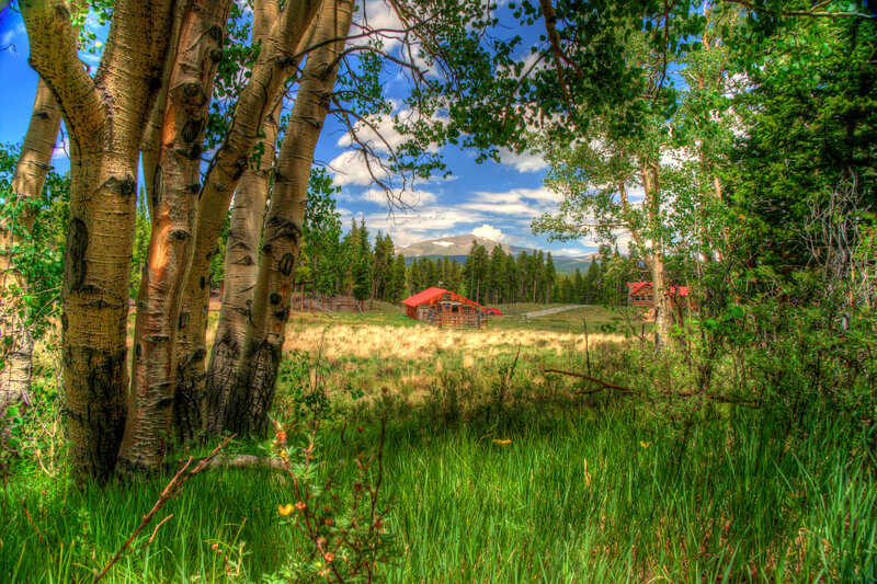 Log Cabins in Meadow