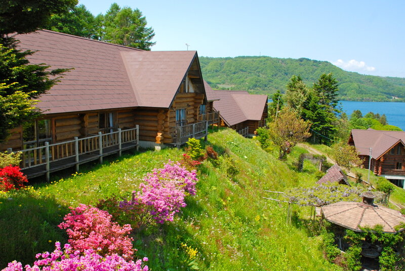 Log Cabins on a Hillside