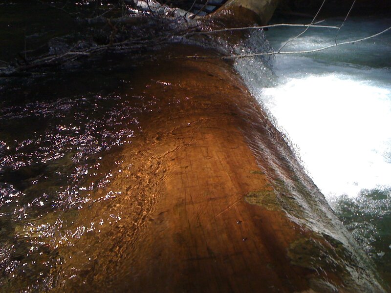 Log in River Water