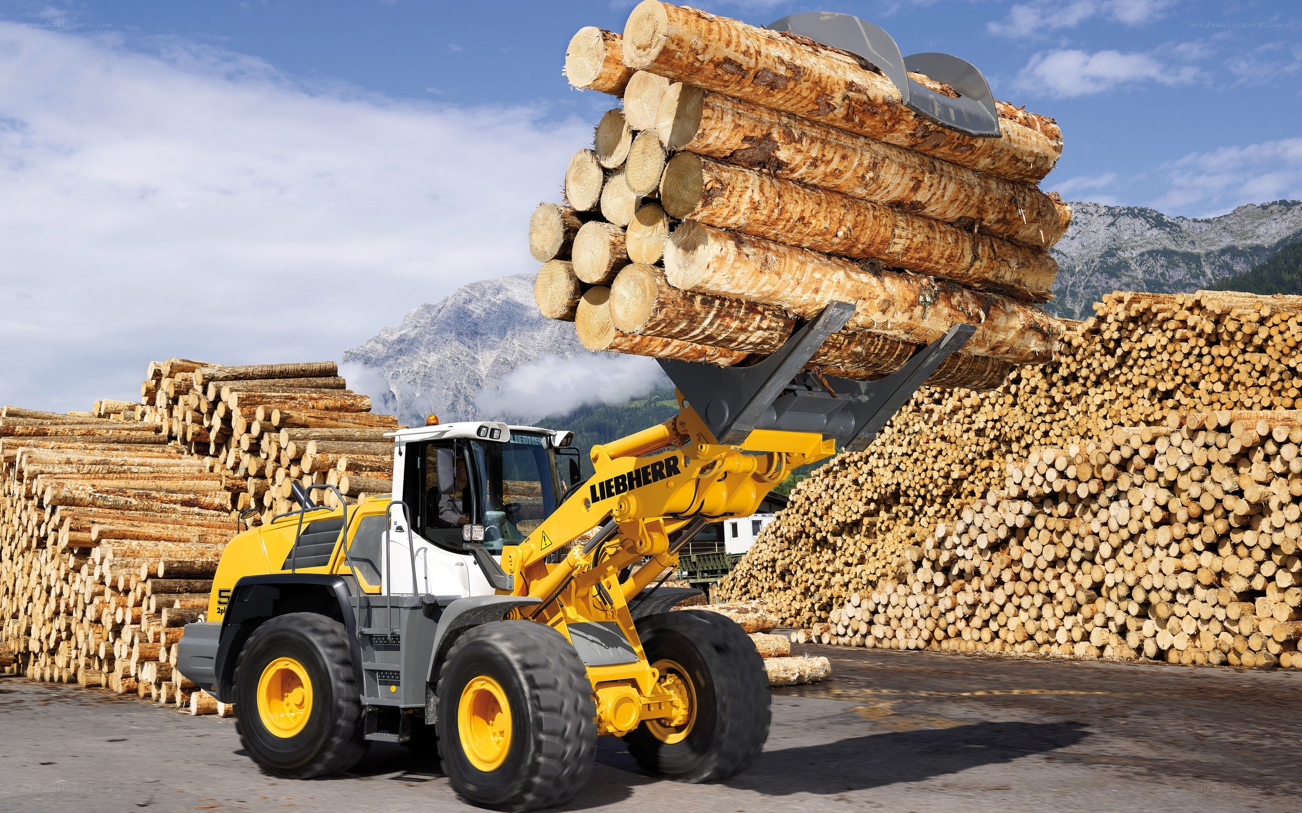 Log loader in mountain forest
