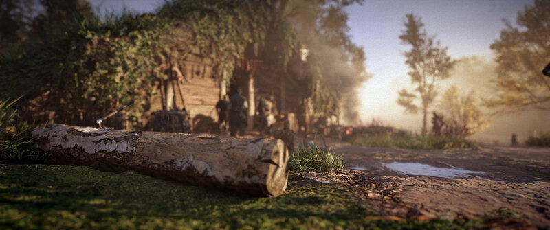 Log on Forest Ground
