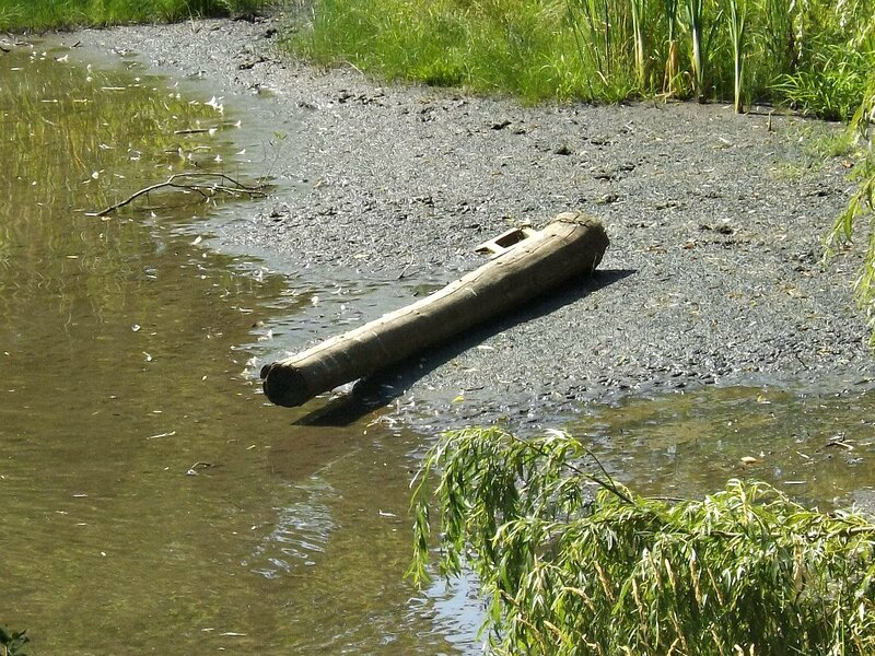Log on Riverbank