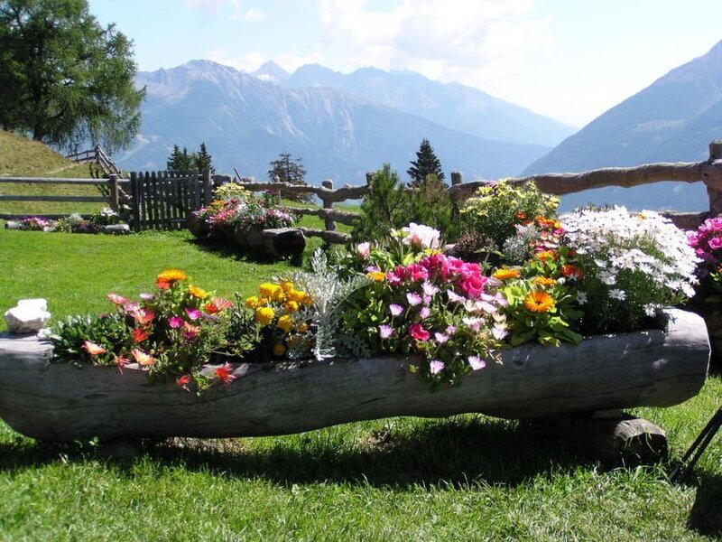 Log Planter with Flowers