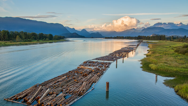 Log Raft on River