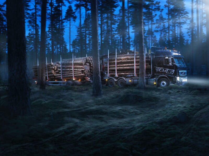 Log Truck in Forest