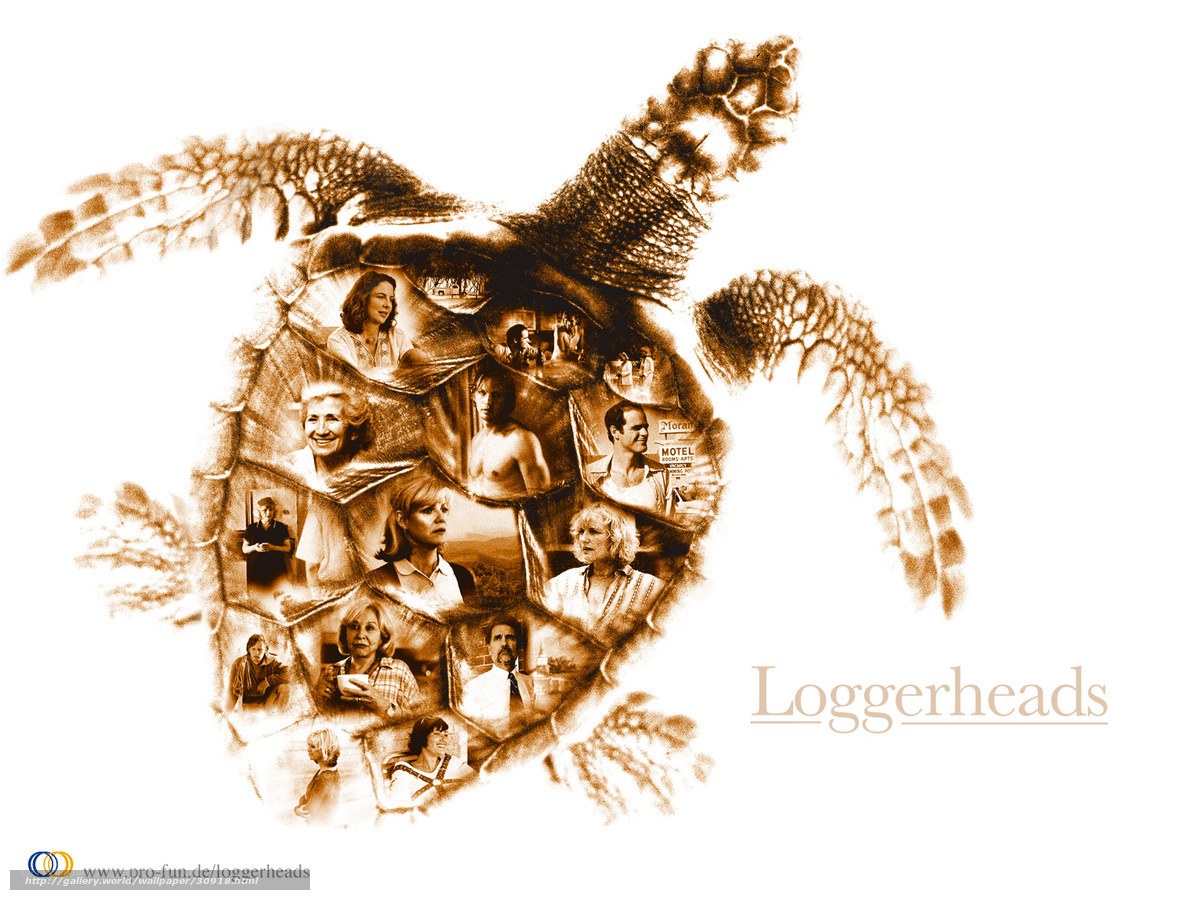 Loggerheads movie collage