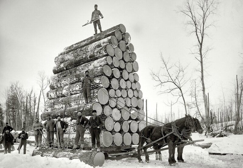 Loggers with a timber stack