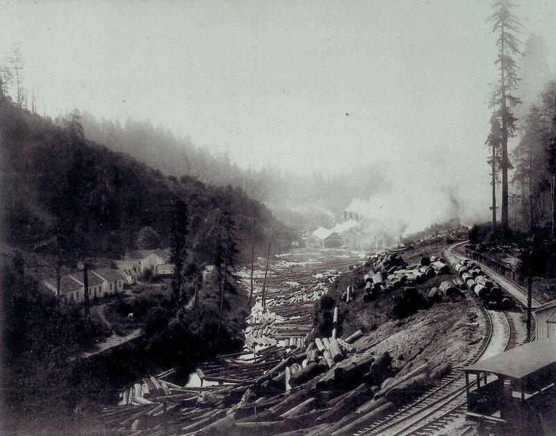 Logging camp in forested valley