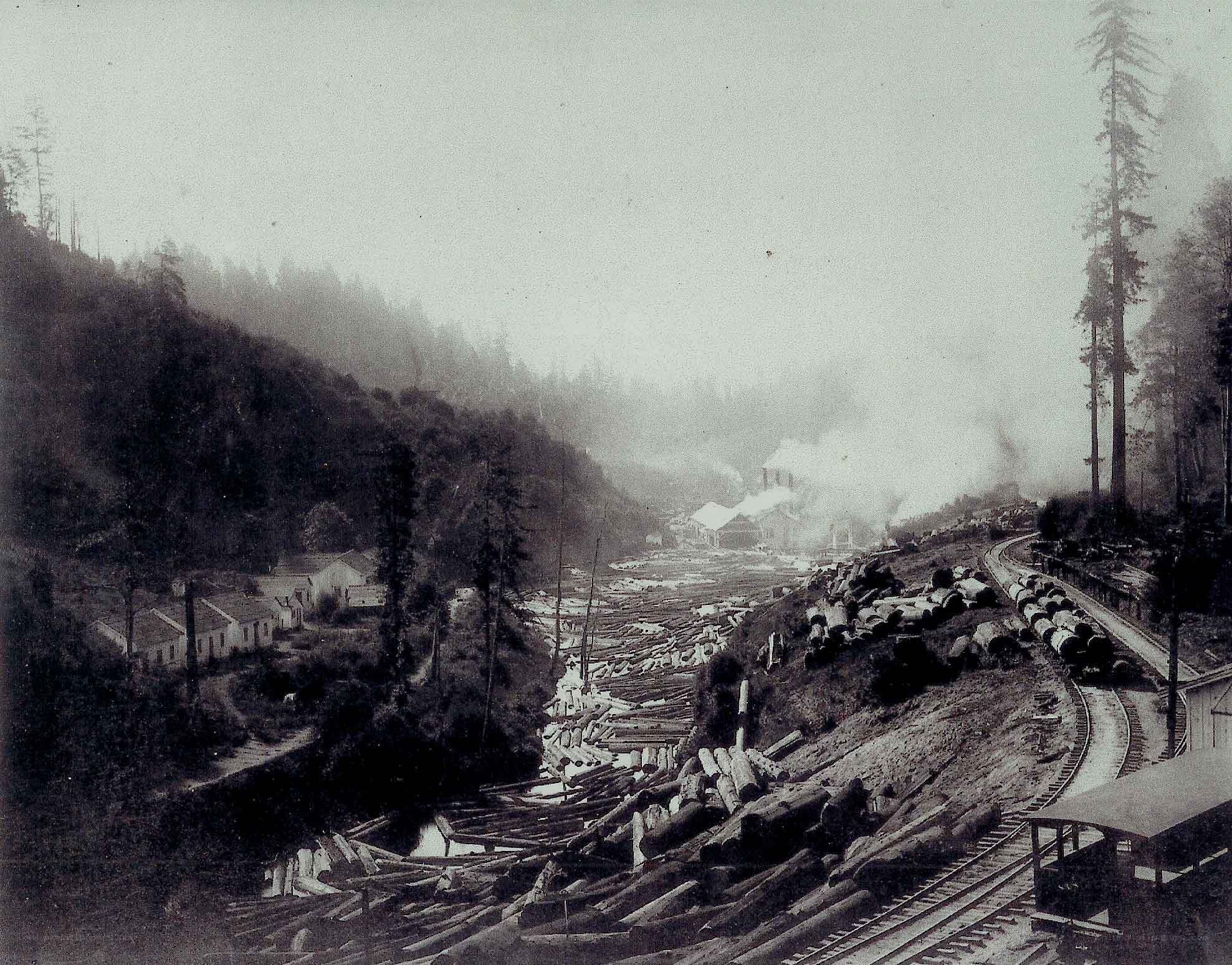 Logging camp in forested valley