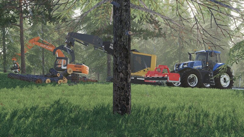 Logging Equipment in Forest