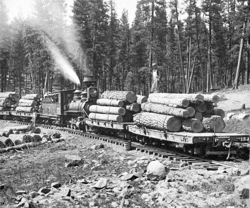 Logging train in forest