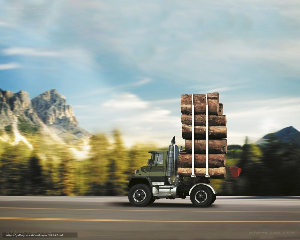 Logging truck on mountain road