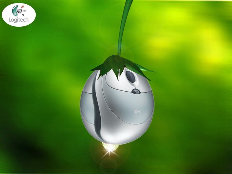 Logitech Mouse Fruit